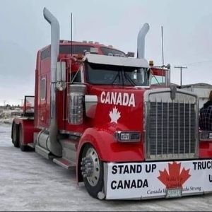 Meet your Posher, Wayne